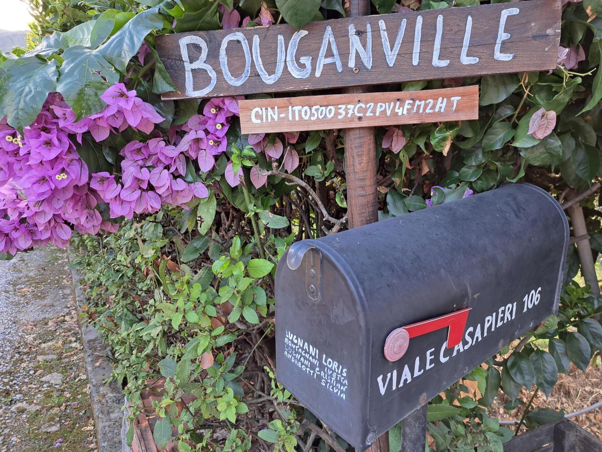 Casa Vacanze “Bouganville” Loc Avane Pisa Векиано Екстериор снимка